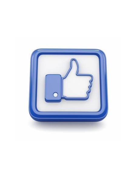 500 名德國 Facebook 粉絲
