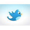 3000 internationella Twitter-följare