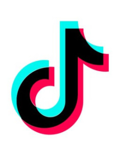 50 TikTok Follower