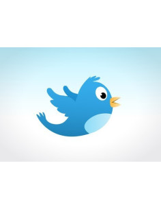 2000 名國際 Twitter 粉絲
