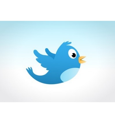 40 000 internasjonale Twitter-følgere